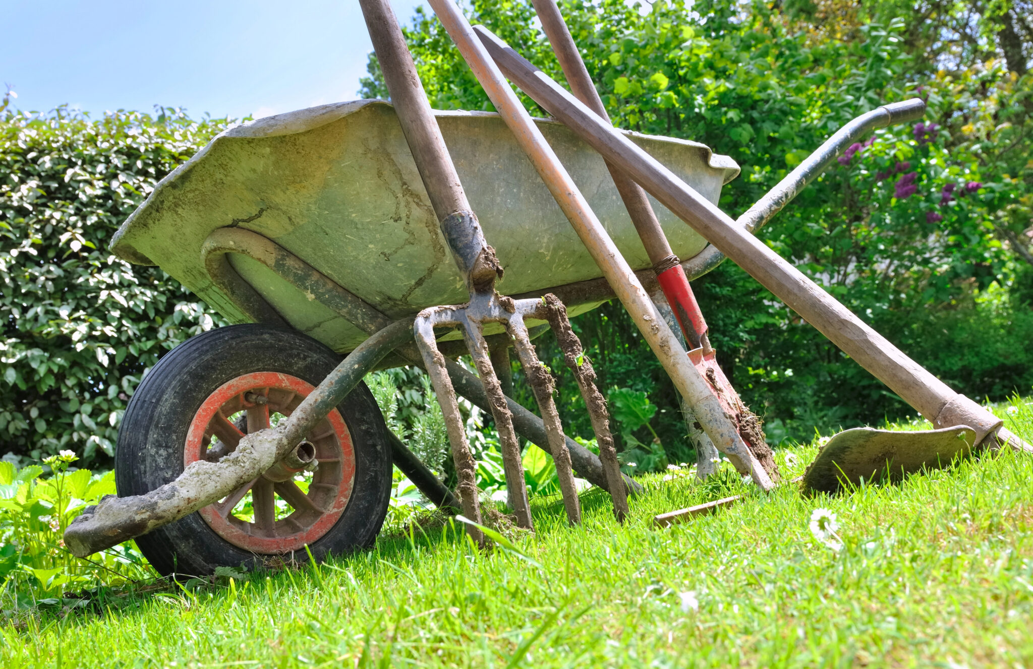 The Gardening Tips That Look Silly, Break the Rules, and Somehow Work Anyway