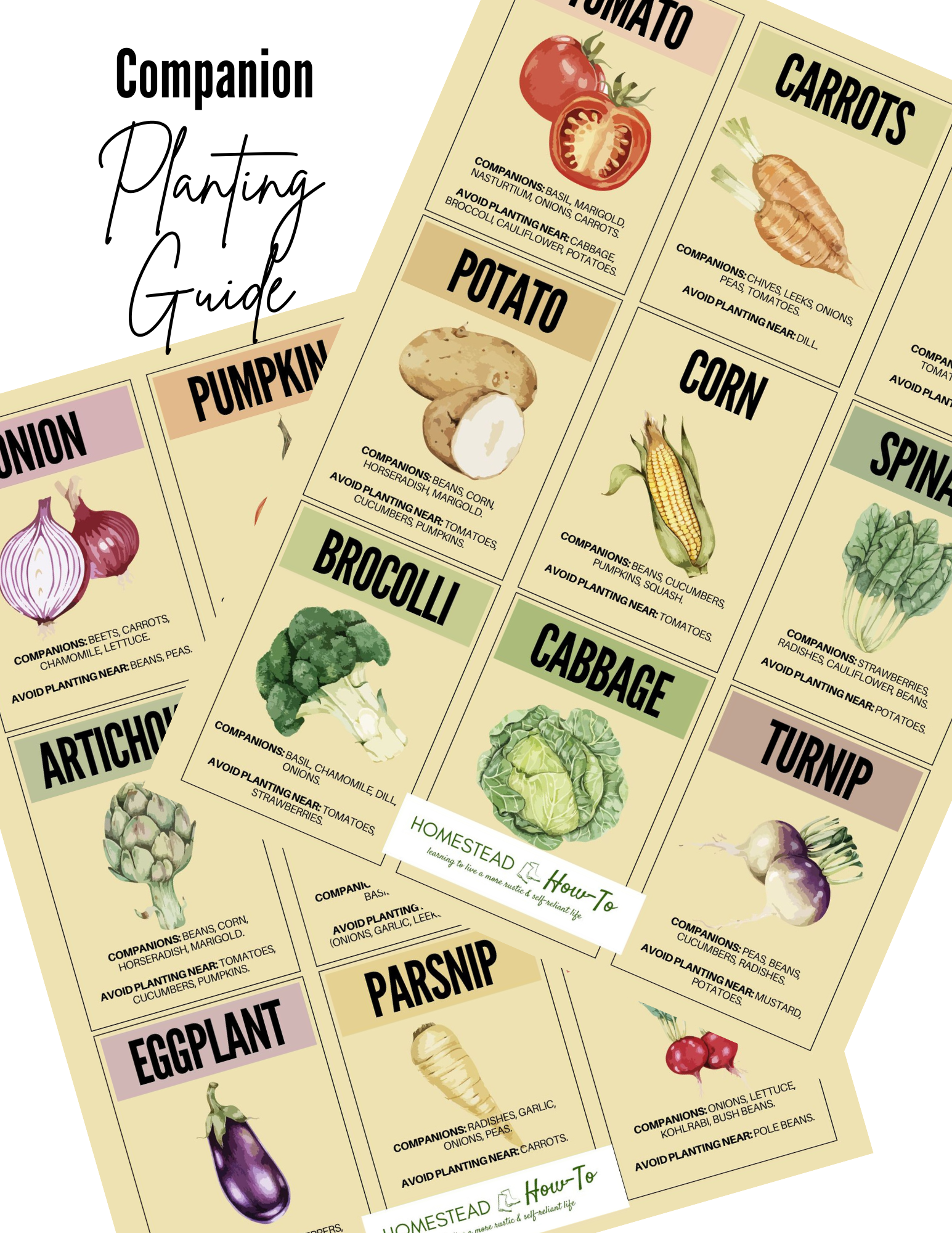Companion Planting Guide