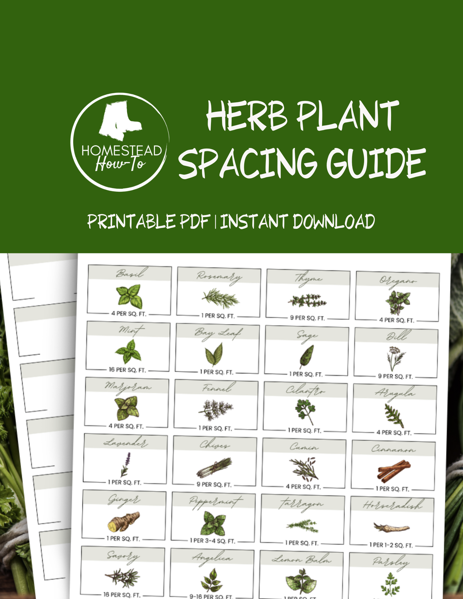 Herb Garden Spacing Guide