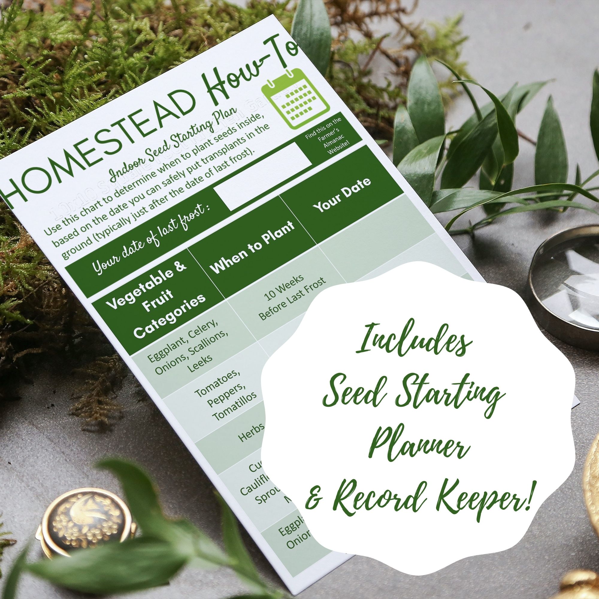 seed starting plan