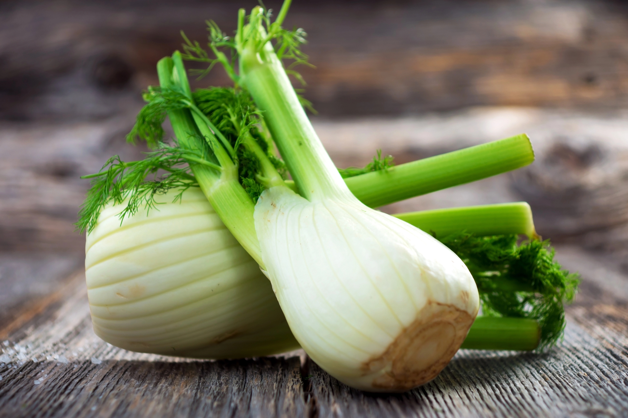 9 Common Garden Plants That Can Cause Trouble for Eggplants