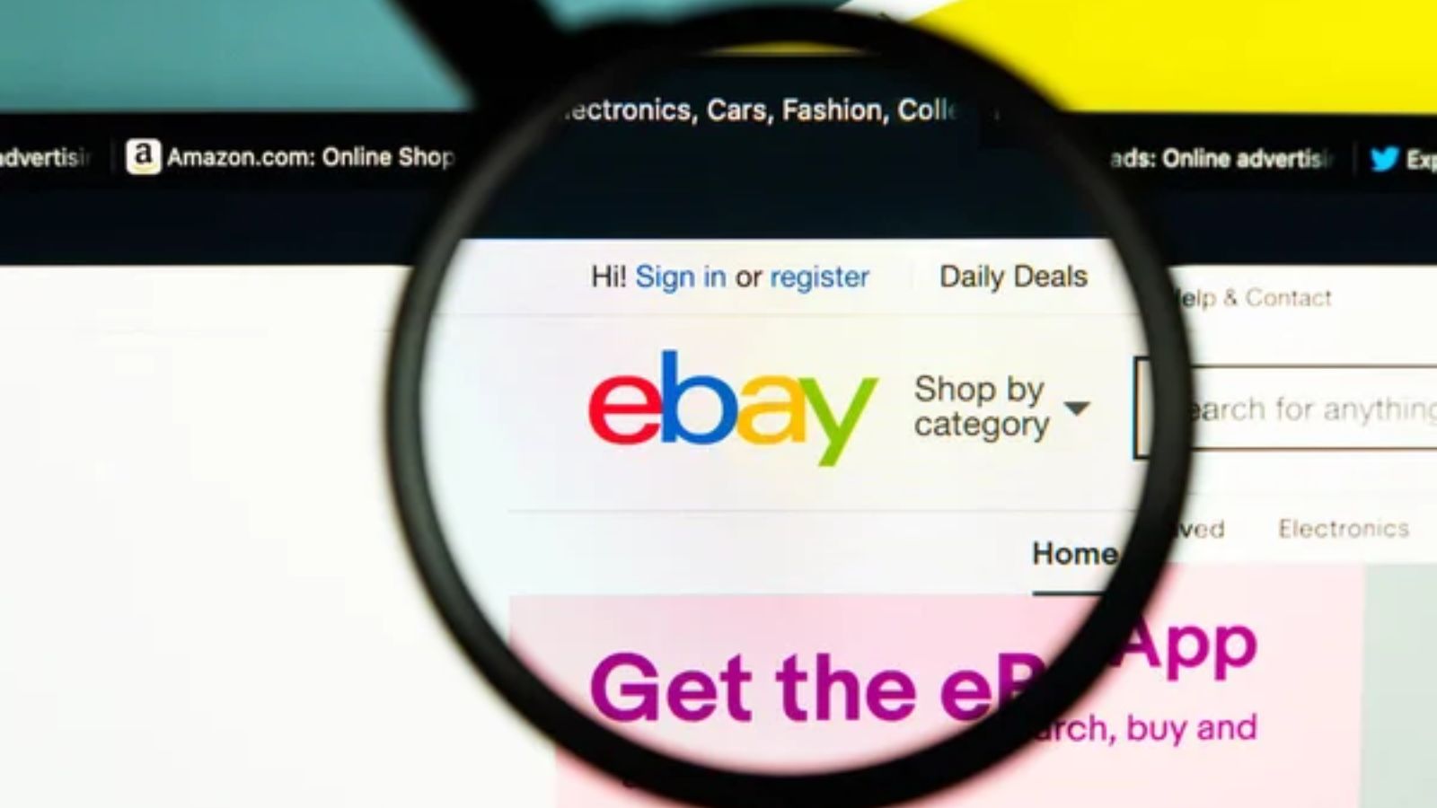 Auction Websites