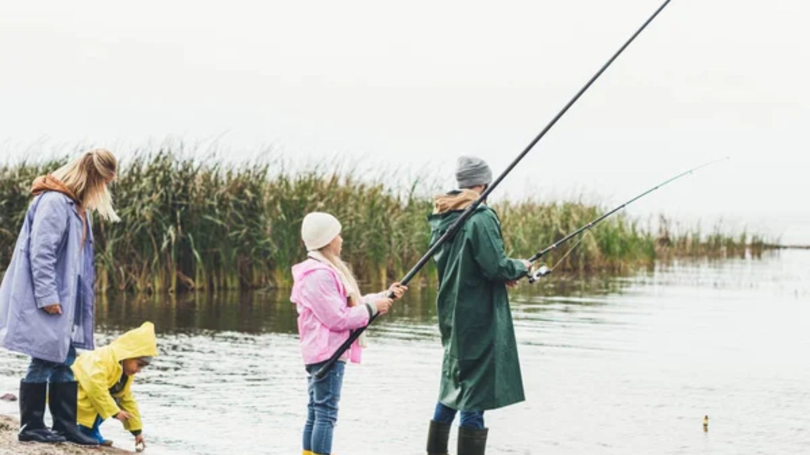 20 Practical Homesteading Skills That Help You Rely Less on Modern Convenience
