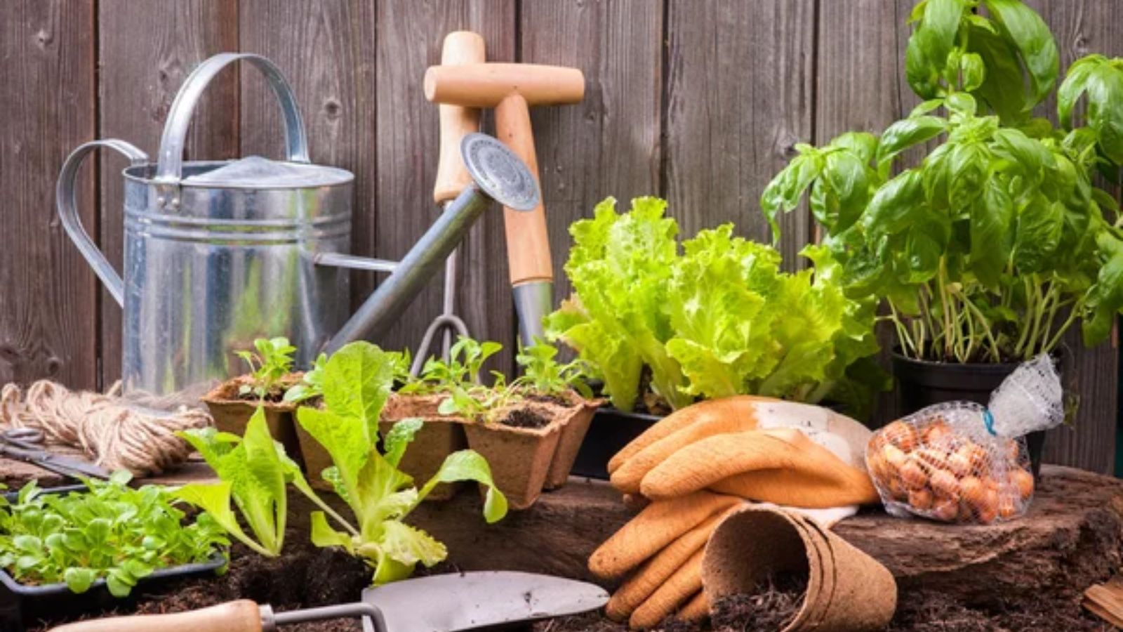 12 Simple Homemaking Skills Our Grandmothers Passed Down Through Generations