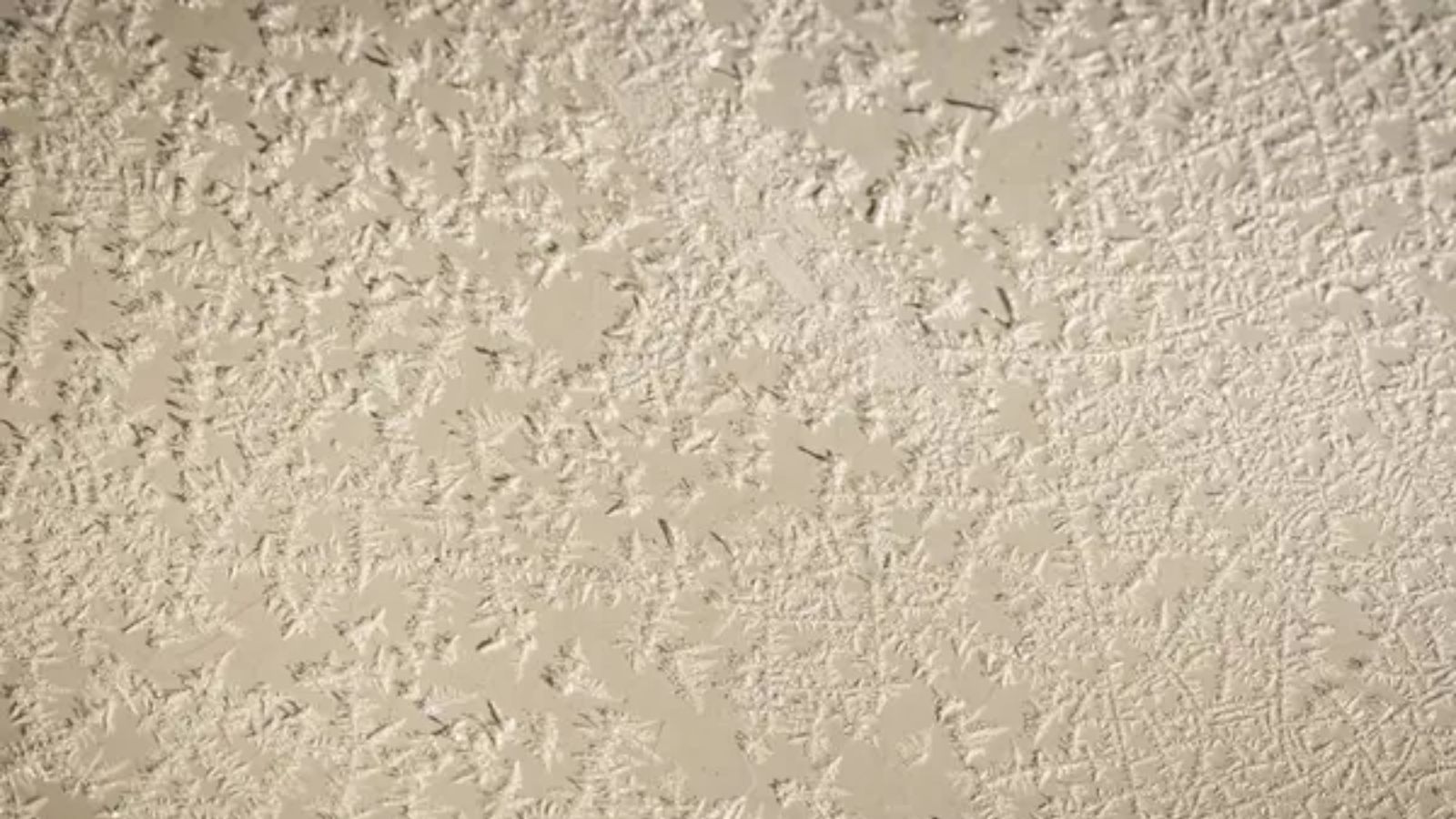 Popcorn Ceilings