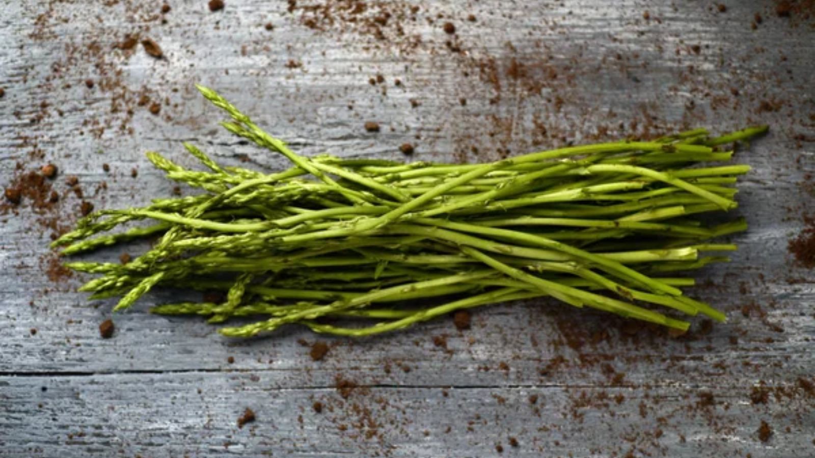 Wild Asparagus