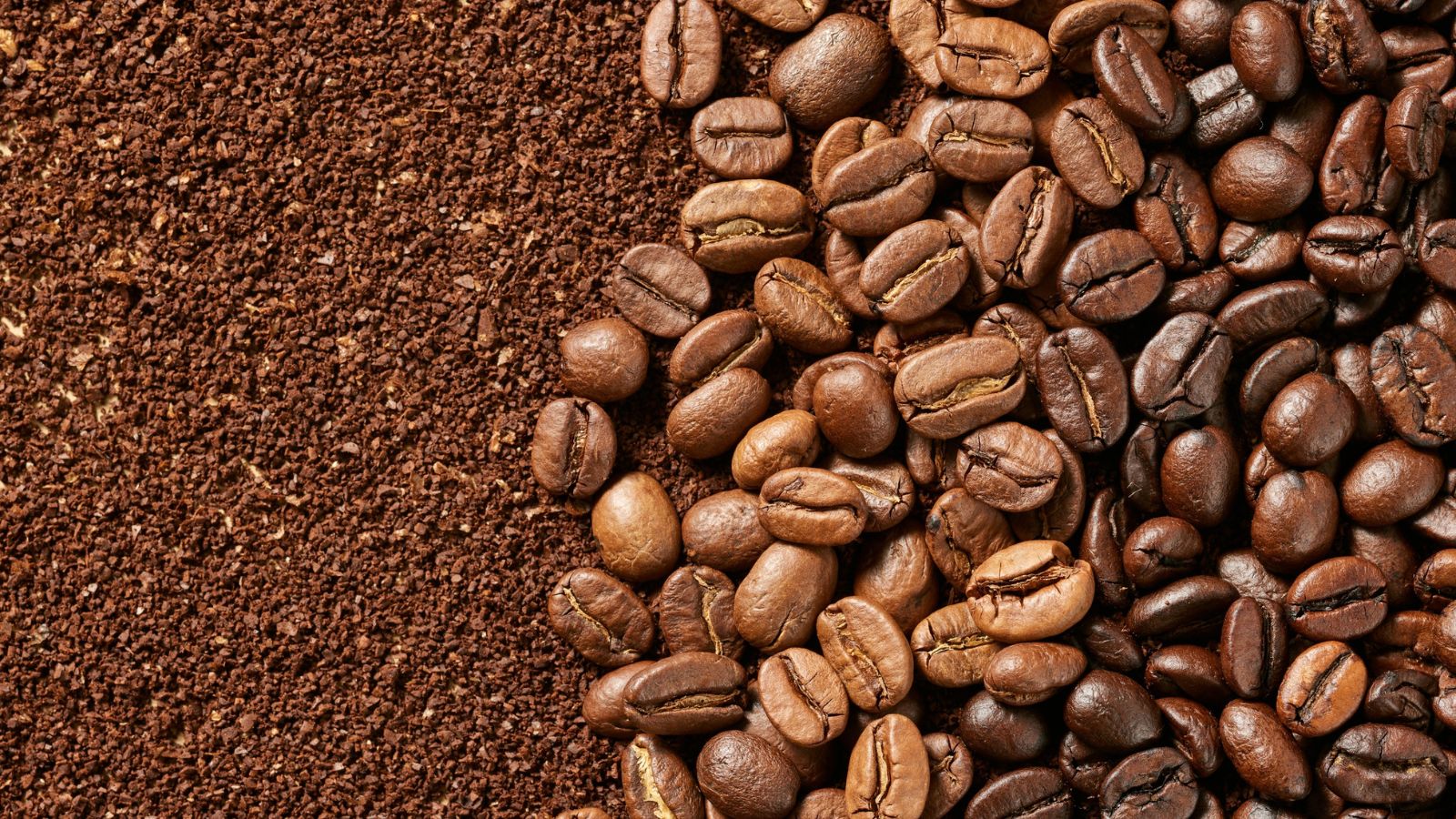 10 Survival Uses for Coffee Grounds Most People Overlook