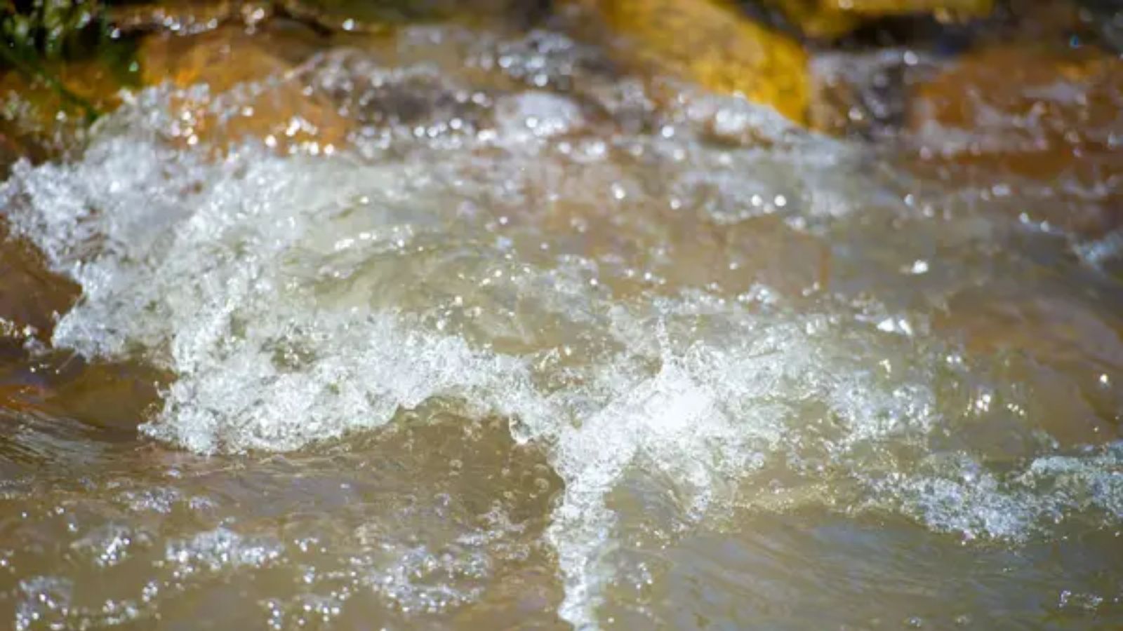 20 Survival Basics Everyone Should Practice Before an Emergency