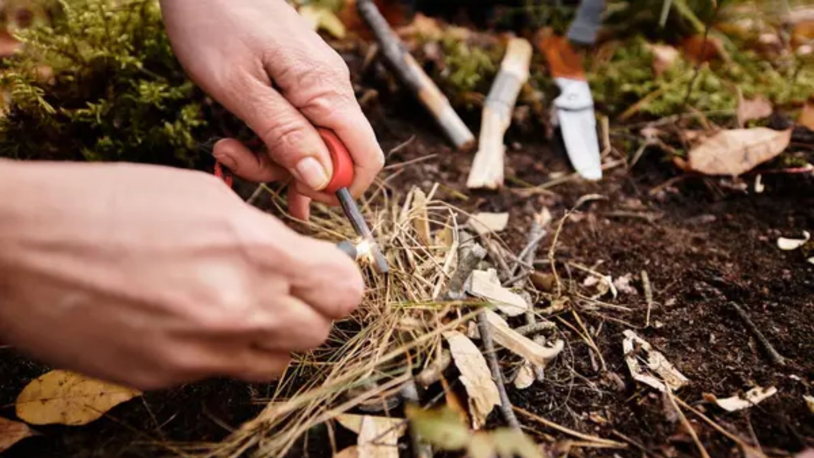15 Wilderness Survival Skills Everyone Should Know Before It’s Too Late