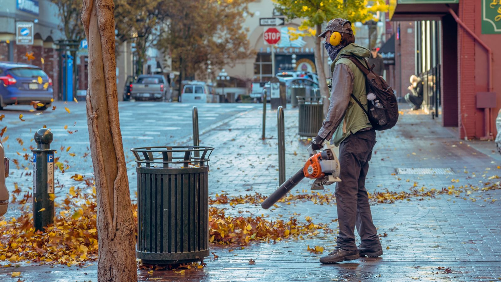 How to Get Rid of Fallen Leaves From Your Yard Without the Hassle
