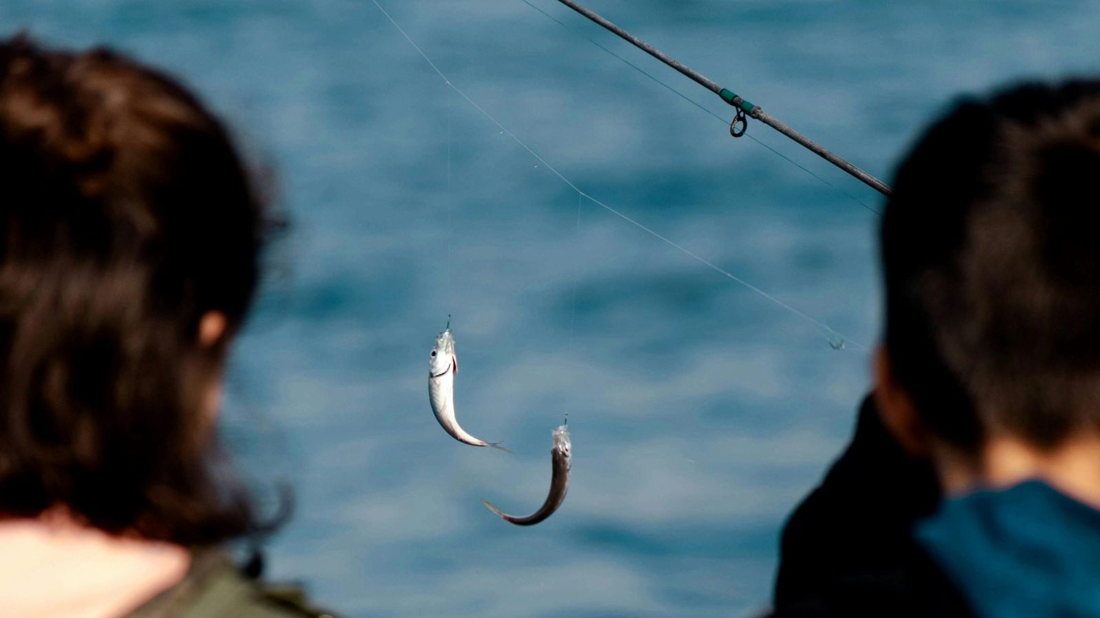 Learning to Fish