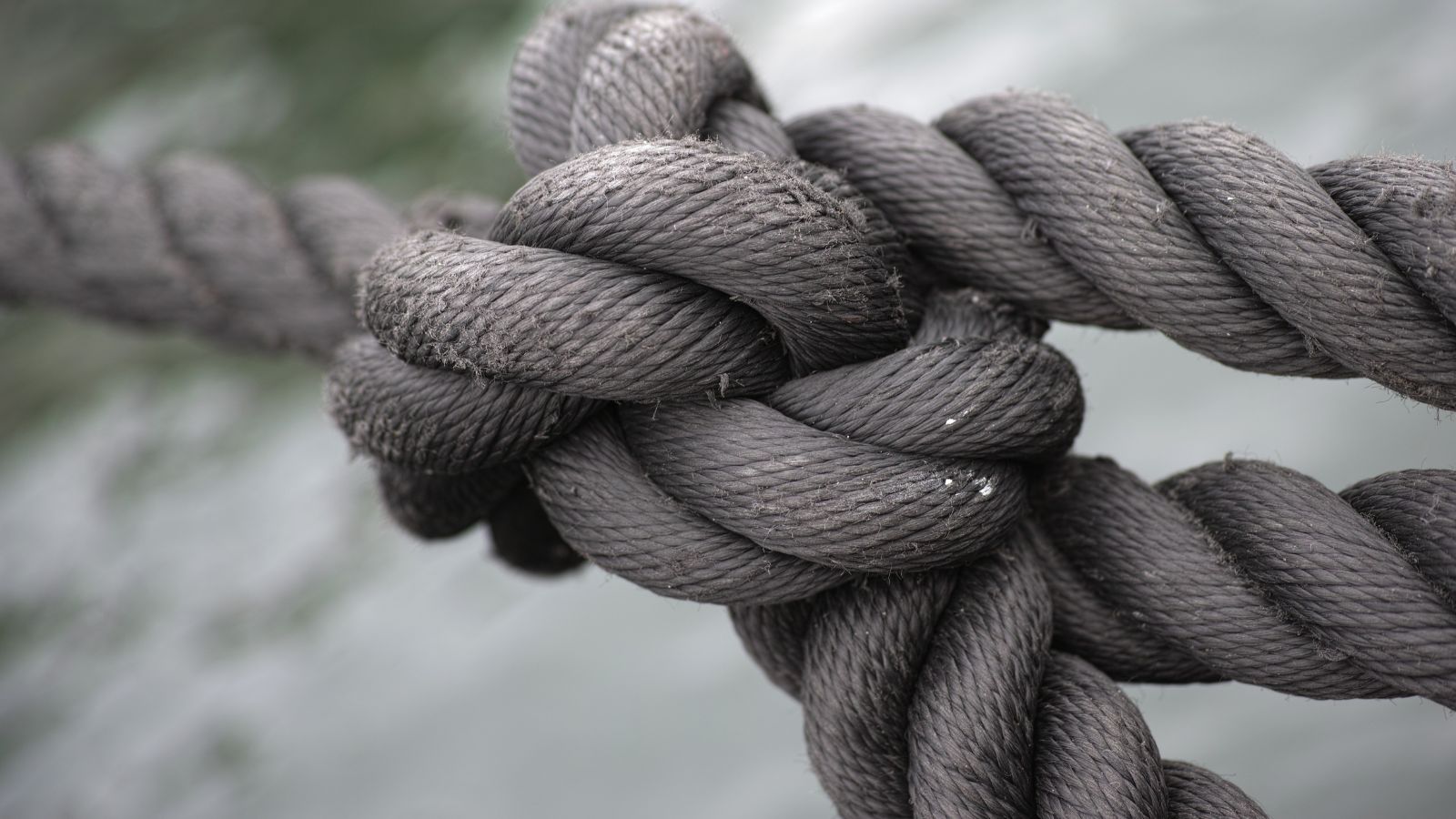 Master a Knot