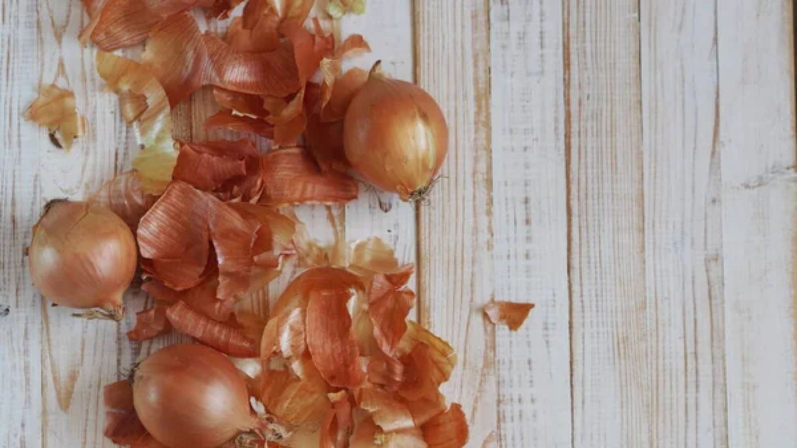 Things You’re Putting Down the Garbage Disposal That Could Cause Problems