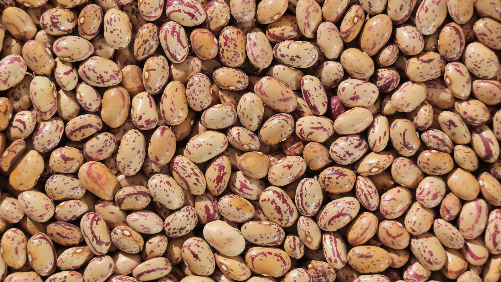 15 Stockpile Staples You Can Turn Into Hundreds of Different Meals