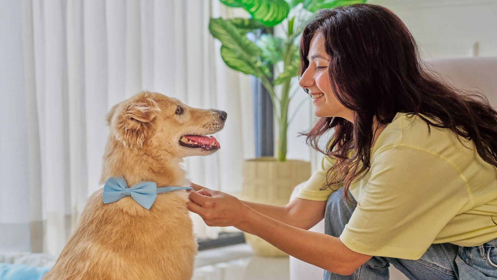 You’ve Gone Nose-Blind to Pet Odors—Here’s How to Freshen Your Home 1 pet