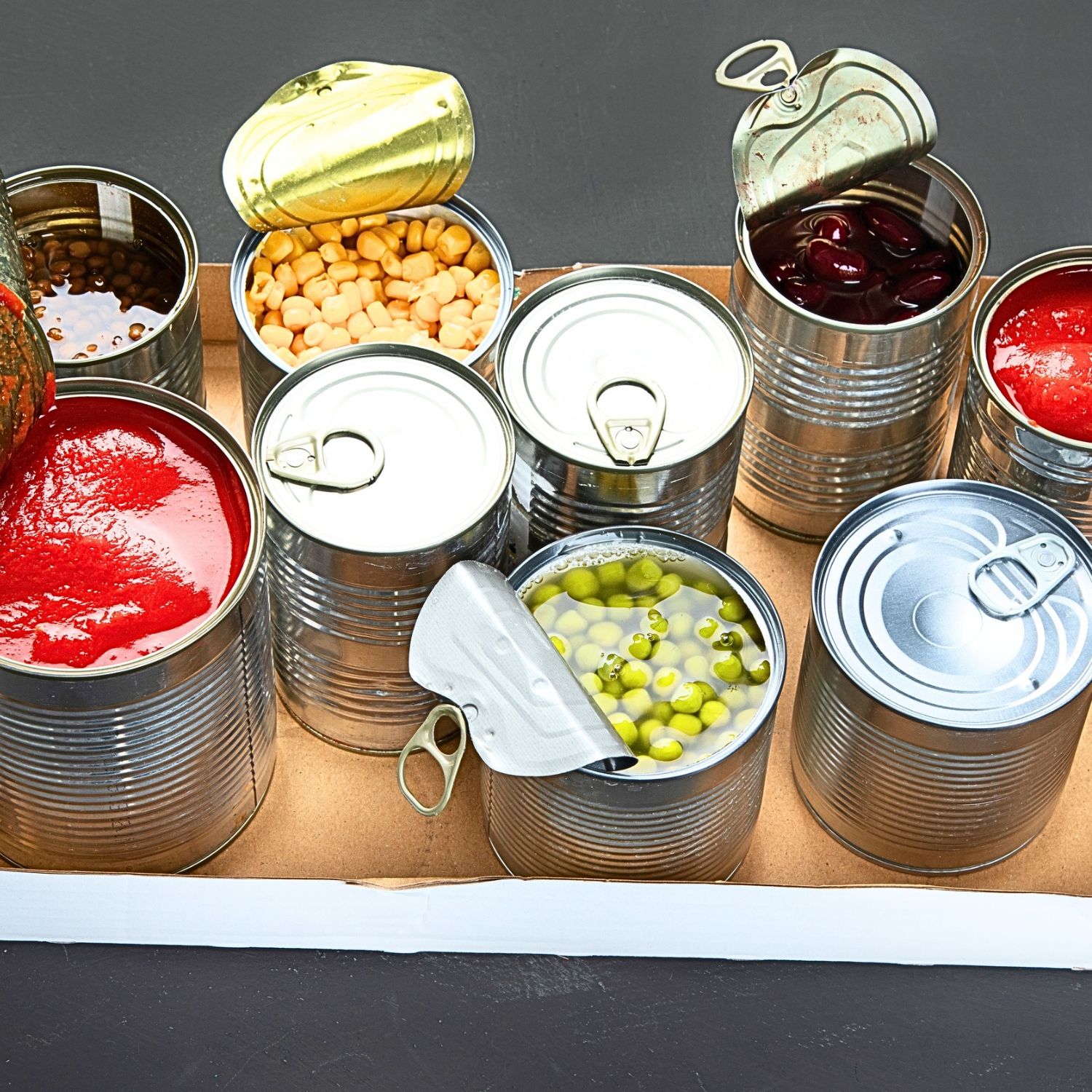 canned food 3