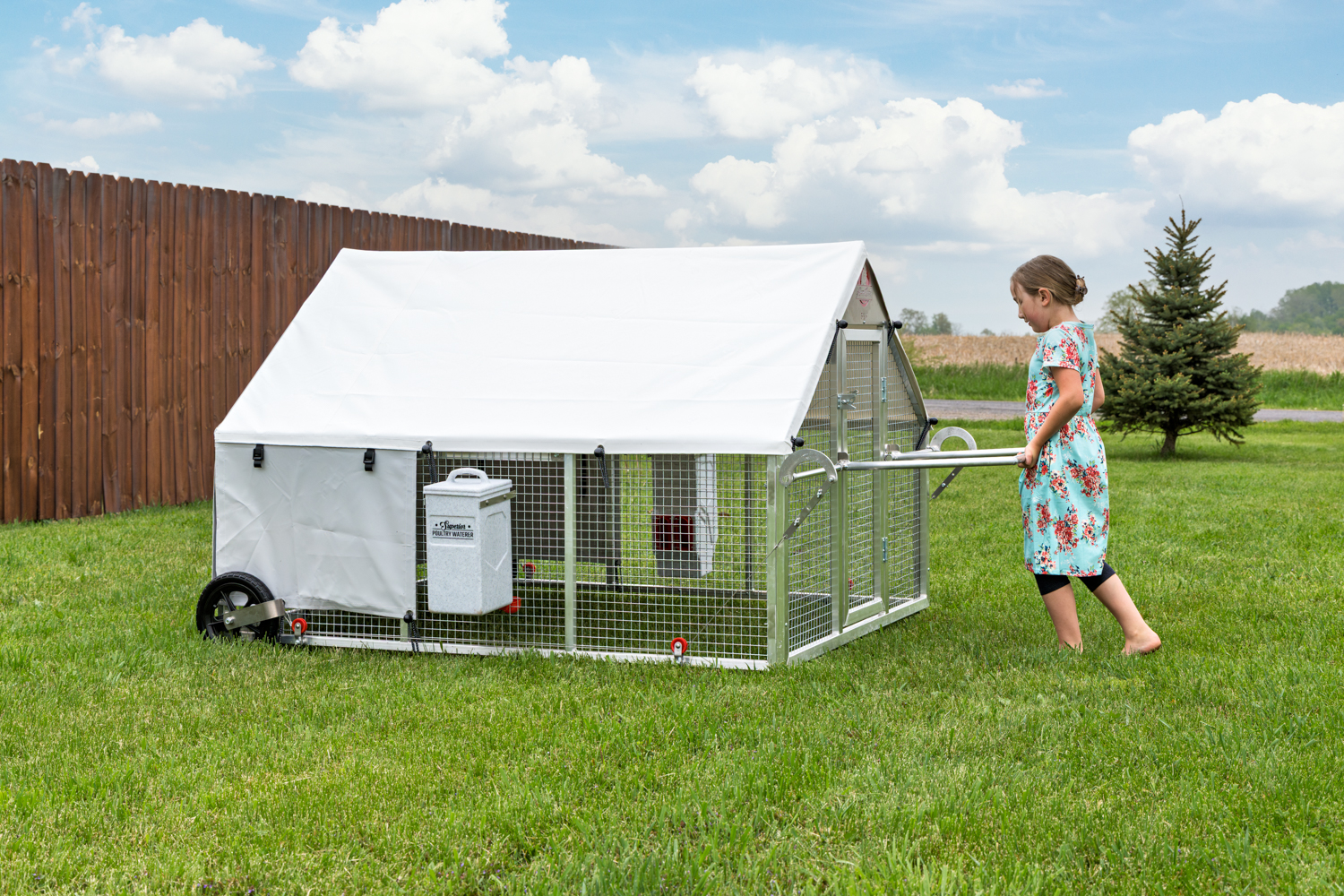 How to Choose a Mobile Chicken Coop: What Really Matters on a Homestead