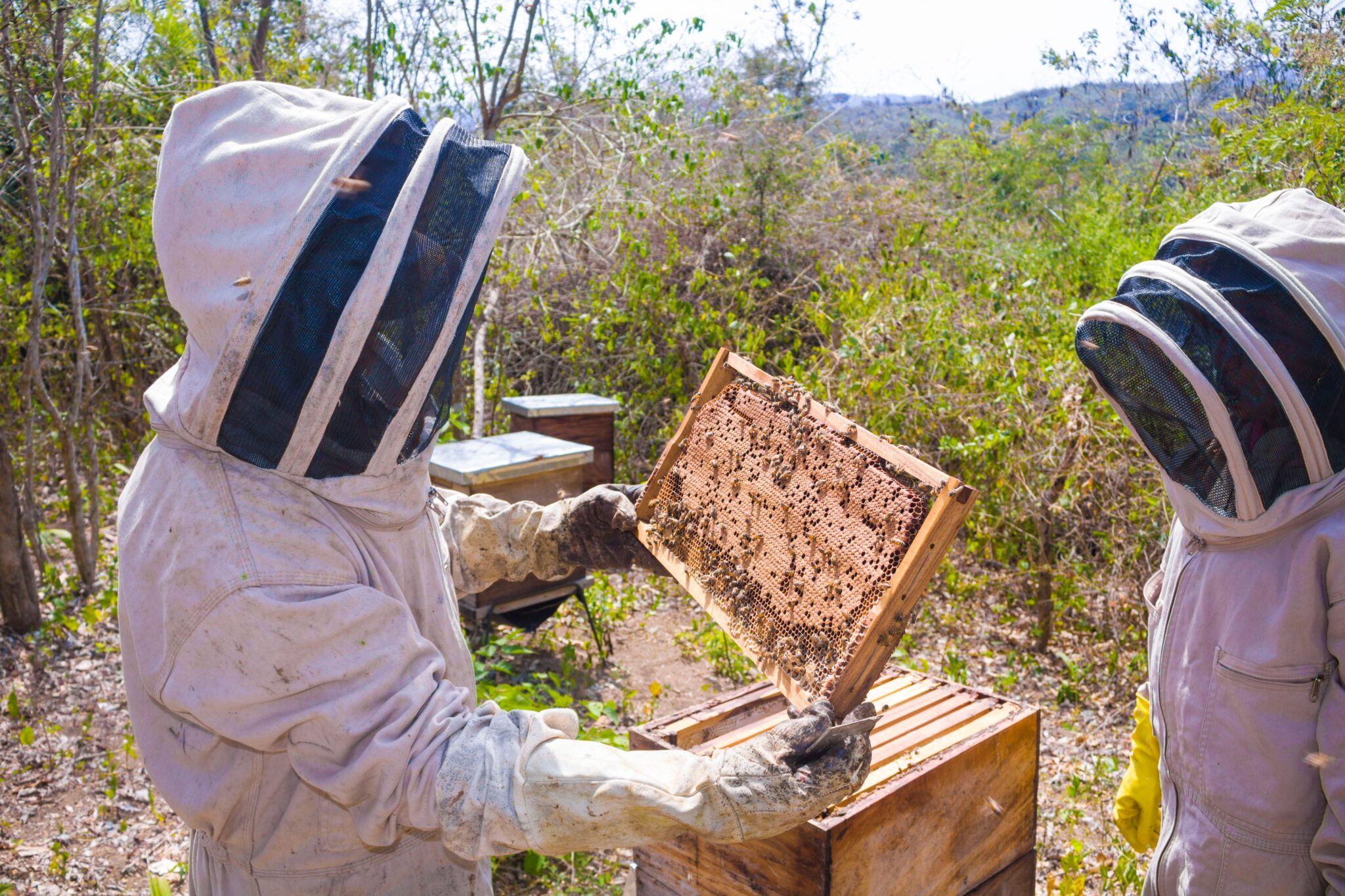 18 Money-Making Ideas for Preppers Who Know How to Get Things Done