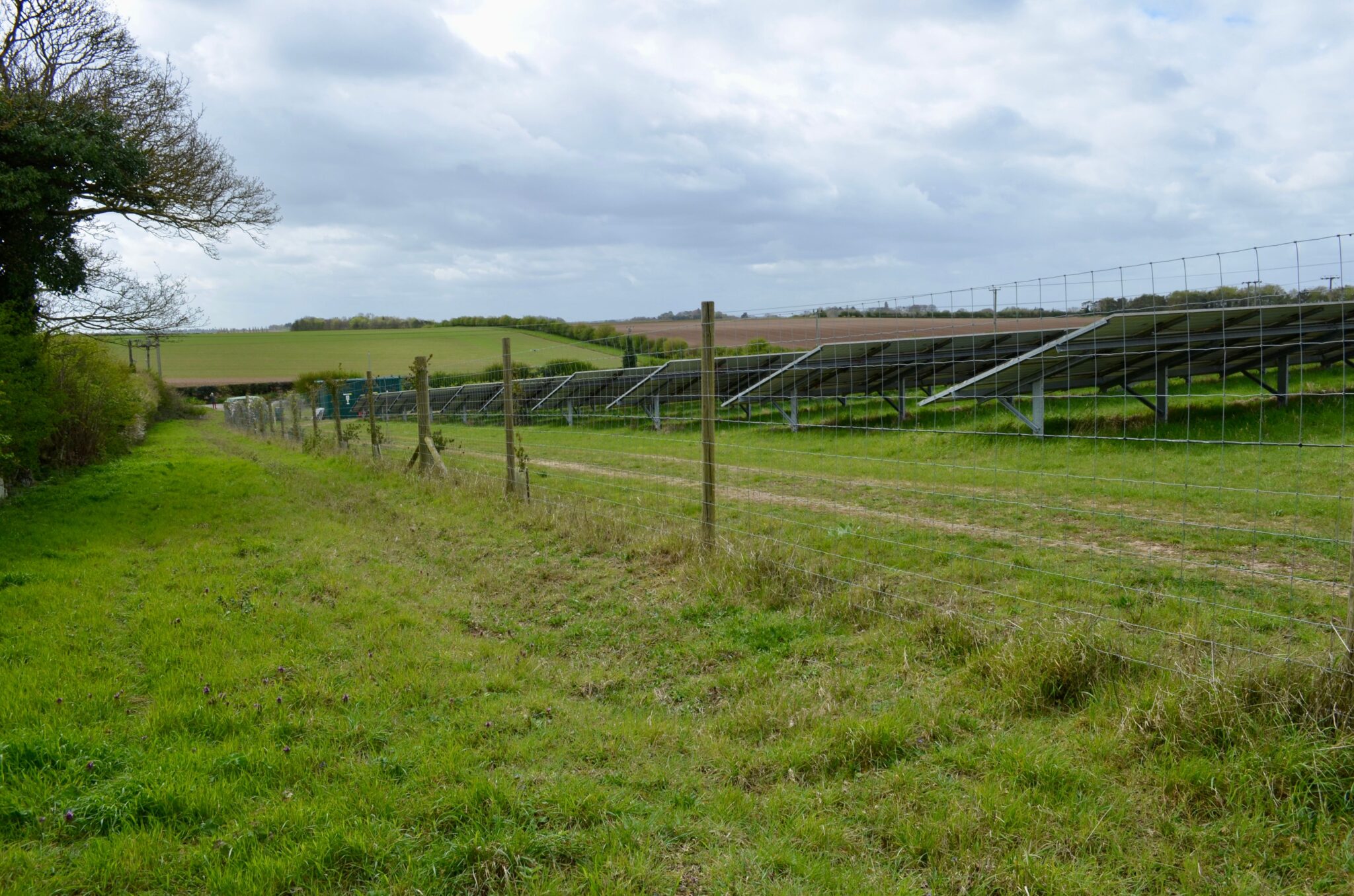18 Ways to Make Your Chicken Coop and Livestock Pens More Secure