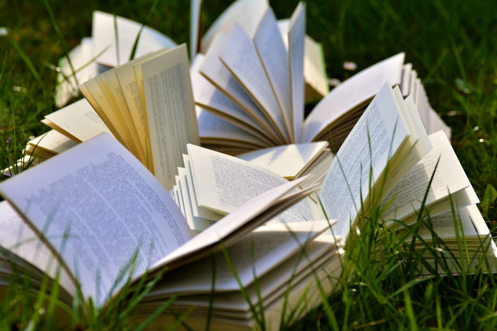 14 Ways to Clear Your Bookshelves Without Sending Books to the Trash